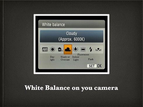 How to White Balance.007.jpg
